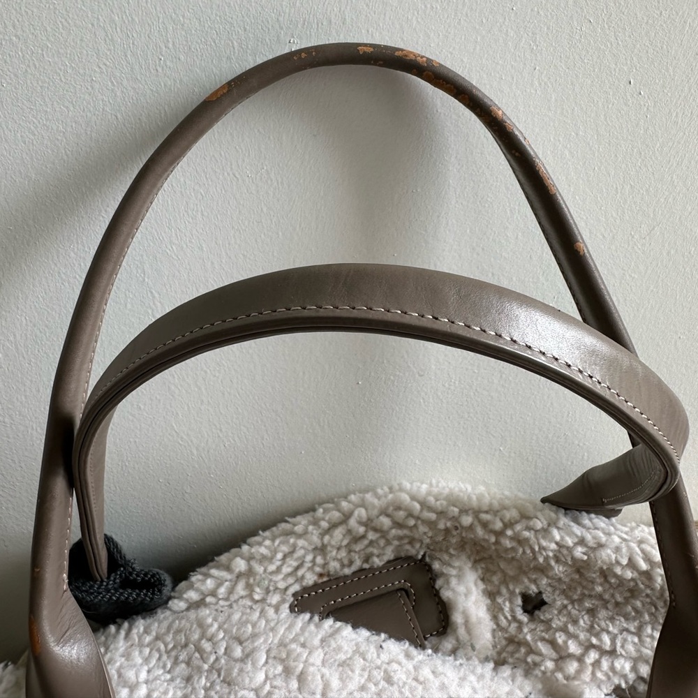 MAXBONE Dog Carrier